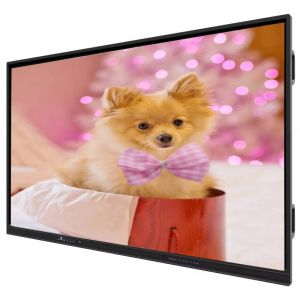 IBoard Touchscreen Interactive Flat Panel with Windows OPS Computer Optional, 1