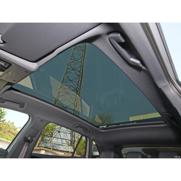 Single Lithium Dark Vw Electric Vehicles