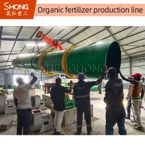 China 10-12 Tons/hr Cow Dung Bio-Organic Fertilizer Processing Line on sale