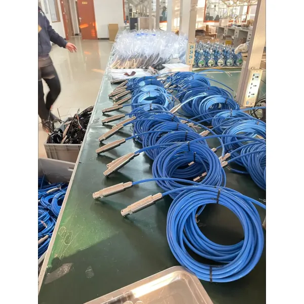 BH93420-I High-Precision Diffusion Silicon Hydrostatic Probe Level Transmitter for Industrial Use