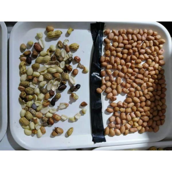 Multi-Functional Pine Nut Apricot Peanut / Groundnut Color Sorting Machine Color Separator