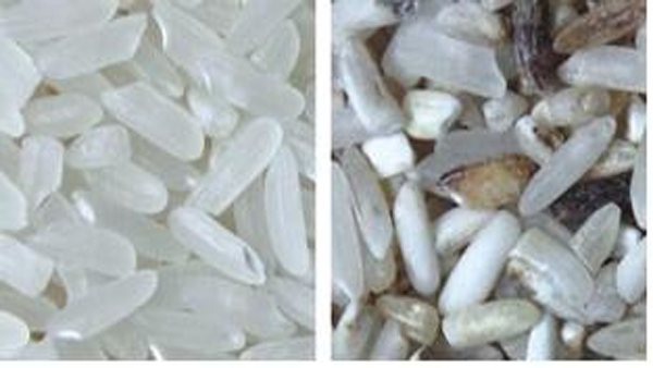 4 Chutes Rice Color Sorter Machine With CE Certificate