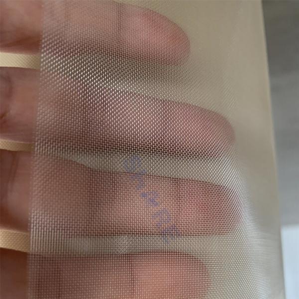 Polyphenylene Sulfide PPS Membranes Resin Support Mesh for Ion Exchange Process
