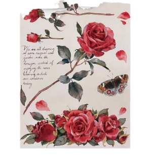 Rose Catalog Art Paper Flower Packaging Paper