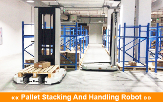 Cold Storage Warehouse Pallet Stacker Crane ASRS Logistics Center Automatic Storage And Retrieval System