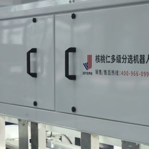 Advanced Walnut Kernel Classification Machine Provides Complete Dual-Side