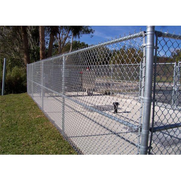 Cyclone Chain Link Mesh Galvanized PVC Coated 50x50mm 2.5in