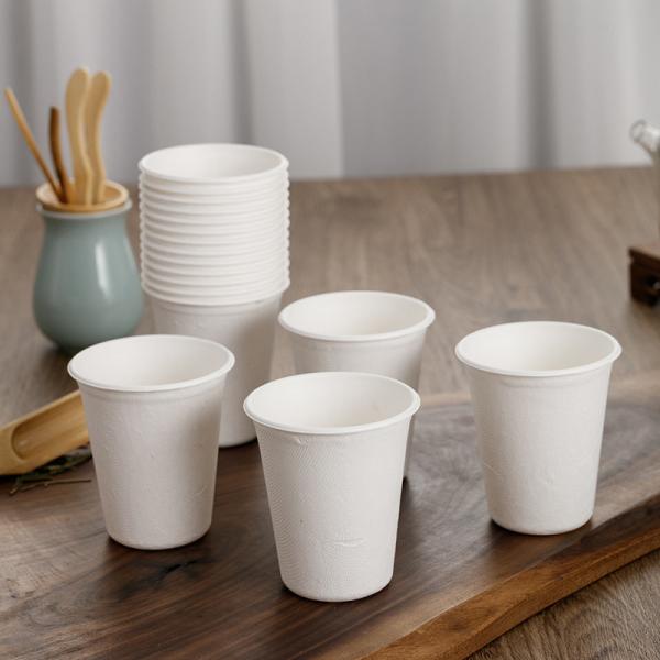 Customized Biodegradable Sugarcane Bagasse Coffee Cups for Hot or Cold Drinks Eco-Friendly