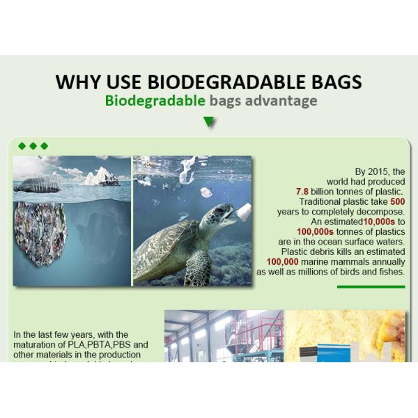 Compostable Poly Mailers With Eco Friendly Packaging Envelopes Supplies Mailing, Heavy Duty Self Seal Mailing Envelope