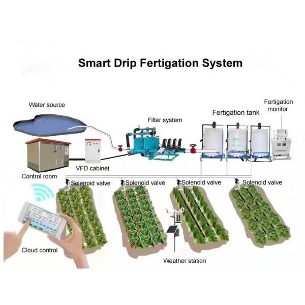 Hot-dip Galvanized Steel Frame Multi-span Hydroponic Greenhouse with Smart Irrigation System