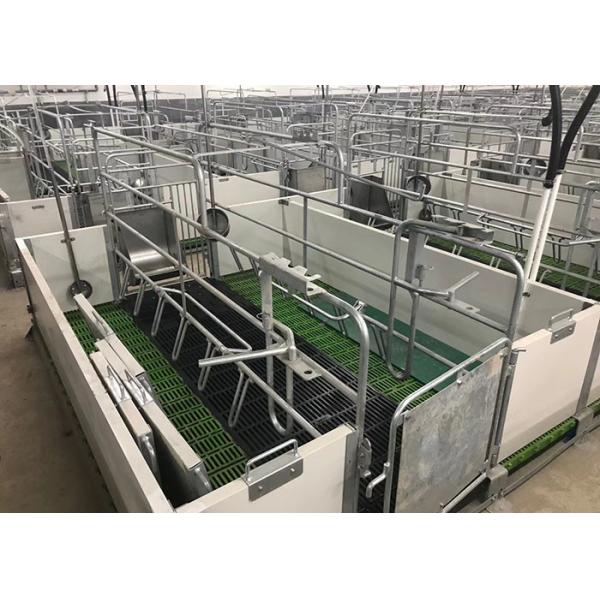 Pigsty Equipment 2.5mm Thickness Sow Farrowing Crate