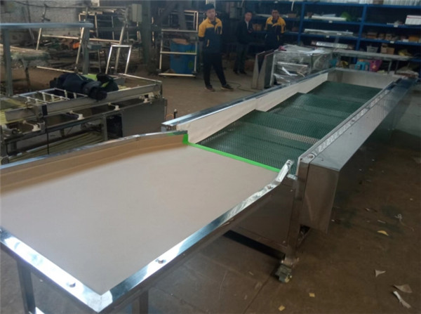blueberry sorting machine, blueberry grading machine, blueberry sorter