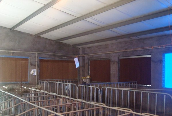 Poultry equipment Ventilation Fan