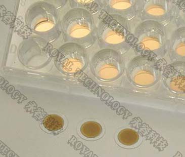 Au Gold Glass slide Mangetron Sputtering System , PVD Au Gold Sputtering Coating Machine With CE Certification