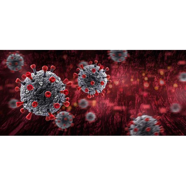 Ambient Storage 3 Line Patented 100% Sensitivity HIV Rapid Test Kit