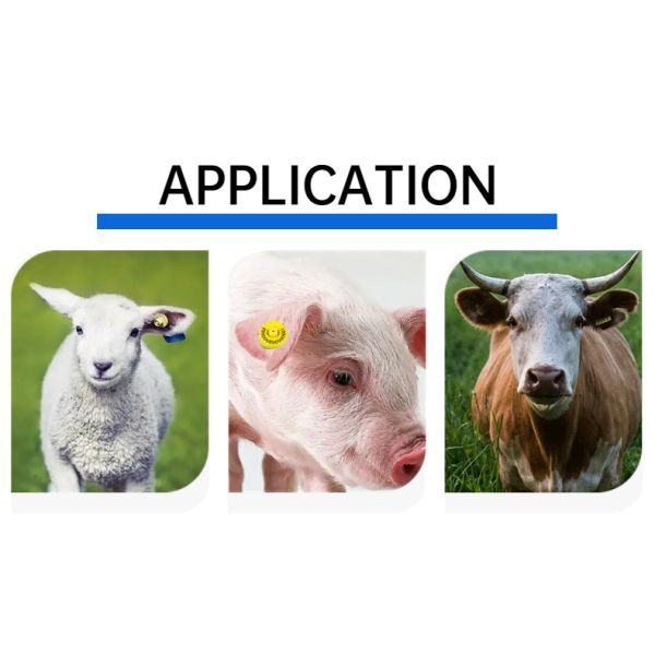 FULL ICAR Tracking Ear Tag RFID Communication Interface High Electronic Tag for Efficient Livestock Management