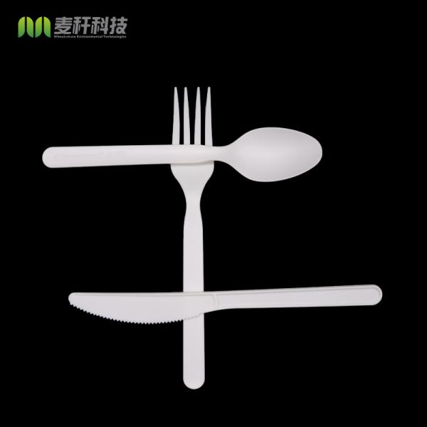Eco-friendly 100% compostable CPLA flatware fork knife and Spoon