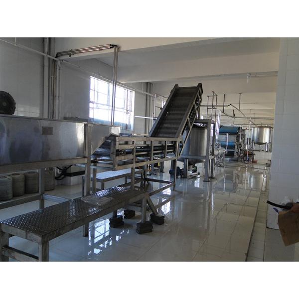 High Performance Complete Pineapple Processing Line Customized Pineapple Production Plant Machine With PLC For Fruit Industry