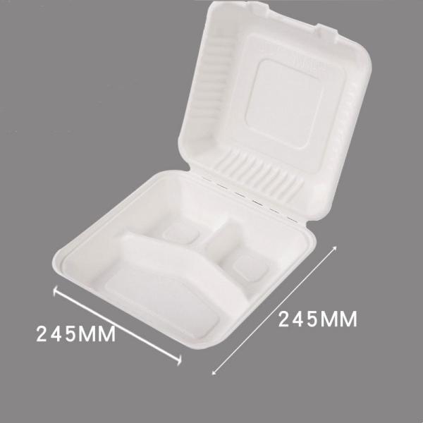 Customized Sugarcane Bagasse Pulp Clamshell for Your Business Needs