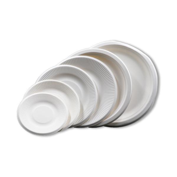 US Biodegradable Sugarcane Bagasse Tableware Plate Carry-out Tableware Multi Color
