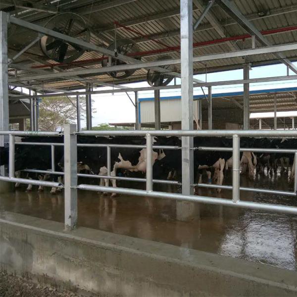 Professional Precast Steel Structure Space Frame Chicken Farm Building