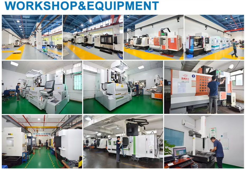 Customized Thermoforming Plastic Mold Supplier for Producing Disposable Plastic Cups and Lid, Eggs Box, Fruit Box, Cake Box, Meal Box