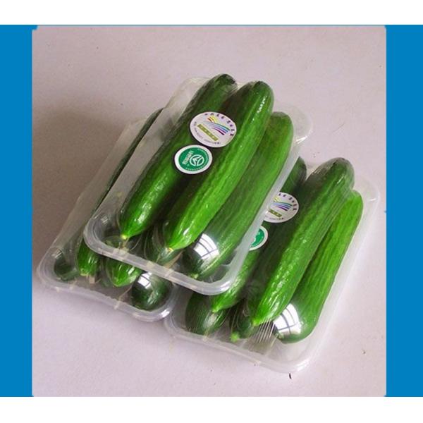 vegetables /meat / Fish automatic shrink wrapping /Flow Packing machine With Strink Tunnel