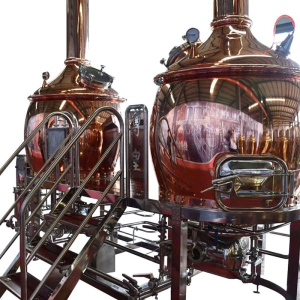 GHO Beer Brewing Equipment with Customization and Beer Processing Types