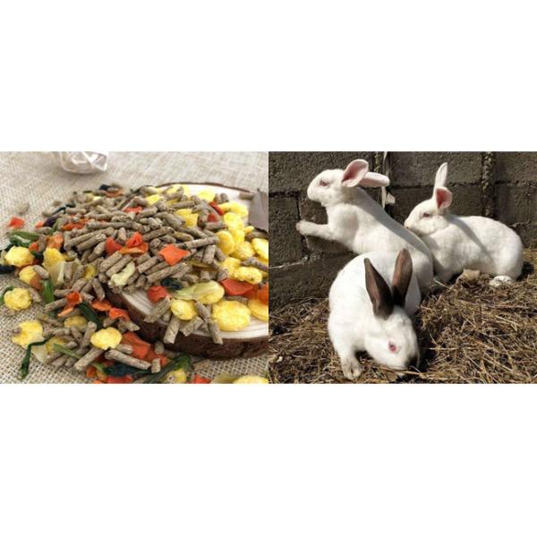 Pellet Diameter 3Mm 6Mm Rabbit Feed Pellet Mill Machine