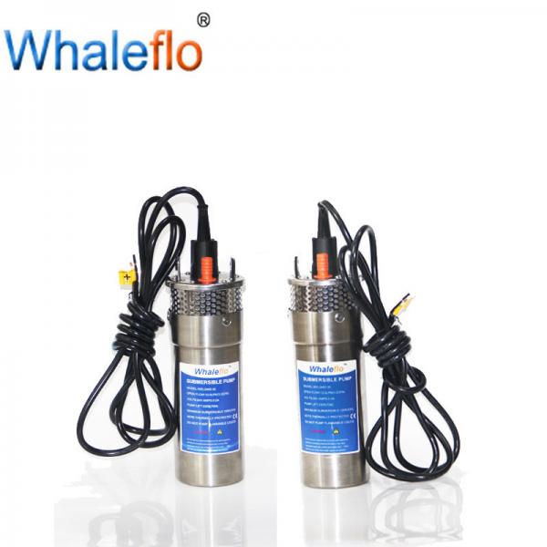 Whaleflo 12V Solar Pump 720LPH Battery Powered Agricultural Spray Irrigation Water Pumps for Deep Well