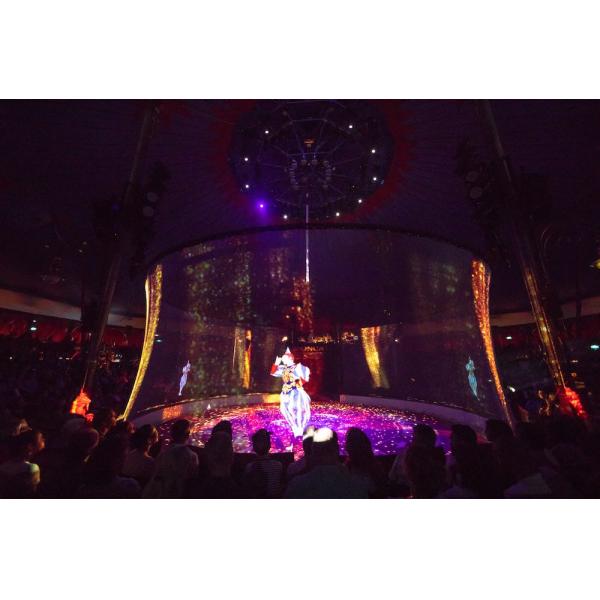 3D Holographic Mesh Projection Screen