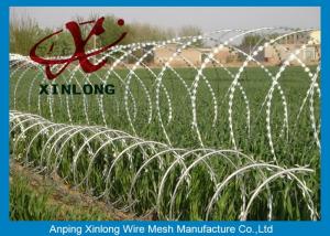 Quality Hot dipped galvanzied Concertina Razor Blade Barbed Wire Coil Diameter 500mm for sale