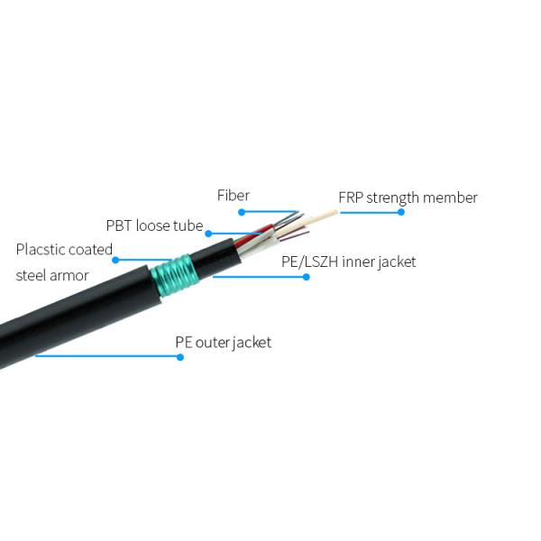 48 Core UG Underground SM/MM Double Jacket Fiber Optic Cable GYFTY53