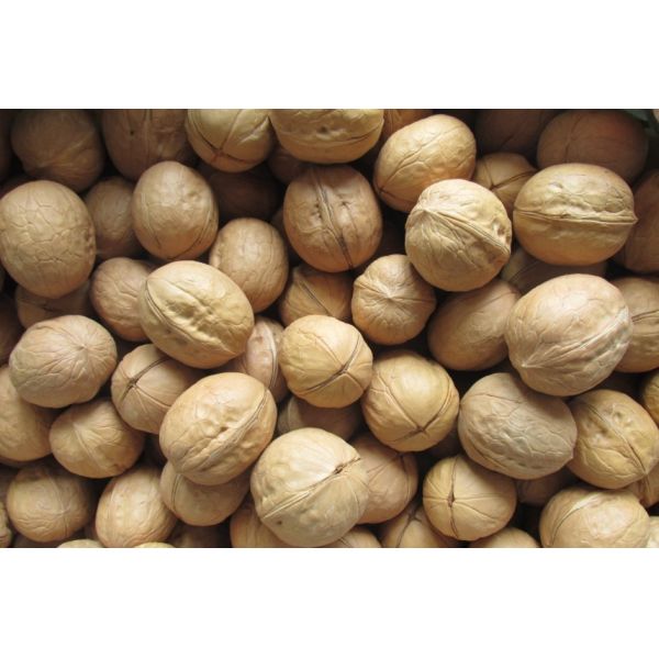 A High-value Optical Sorter Designed Specifically For Walnuts. AI Intelligently Identifies Shell Defects Such As Dark Spots, Breakage, And Insect