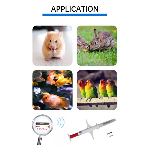 Reliable Tracking Iso Transponder Microchip For Animals