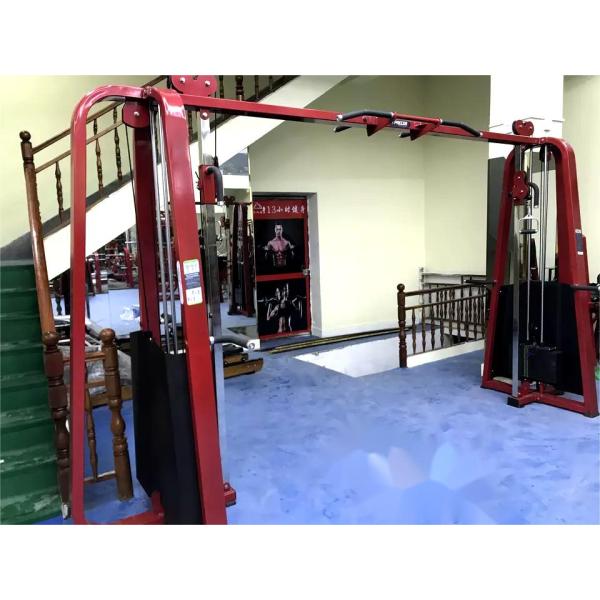 Freeman Adjustable Gym Cable Crossover Commercial Fitness Full Body Exercise Limb Muscle Strength Building Core Training Freeman Equipment System