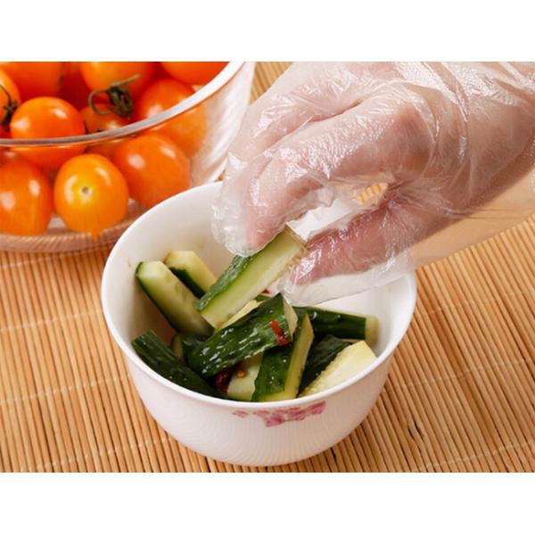 Transparent Disposable Safety Gloves , Disposable Polyethylene Gloves