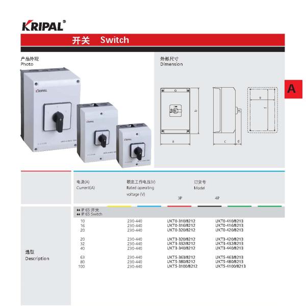 100A IP65 Industrial Cam Change-over Switch With Lock IEC standard