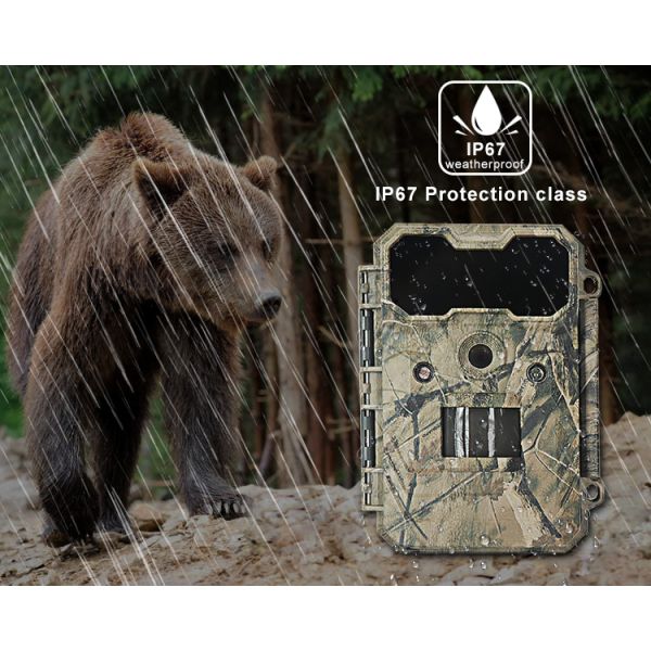 IP67 Waterproof Trail Hunting Video Camera 2g digital hunting camera 