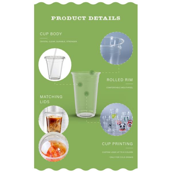 Cold Drink Eco Friendly Biodegradable Compostable Clear PET Disposable PLA Cups Plastic