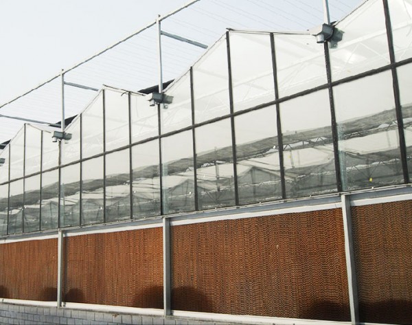 Outdoor New Material Cooling System for Chicken House High Absorbablity Evaporative Cooling Pads