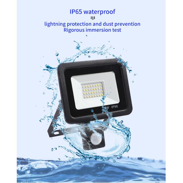 10W - 100W Induction Led flood light With Adjustable PIR Sensor floodlight Street Square Outdoor Lighting