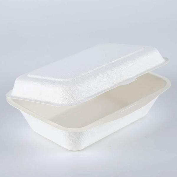 Sugarcane pulp paper packaging burger box container