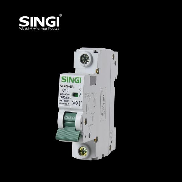 2016 China manufacure wholesale 1p 16A IEC60898 miniature circuit breaker dz47-63 circuit breaker de aaa lixi