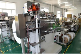 Automatic Feeding Filling Packing Machinery Disposable Tableware Flow Packing Line