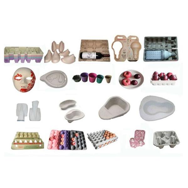 Paper Tray Molded Pulp Machine for Industuial Package / Double Side / Rotary Type