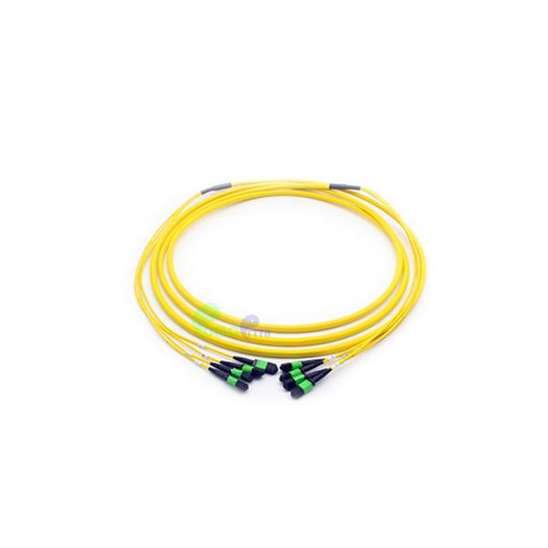 E2000 - E2000 48F Fiber Optic Patch Cables OS2 Multifiber Single Mode Breakout
