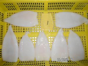 Quality Squid Tube:U3, U5, U7, U10, 10/15, IQF or BQF, tip on/off, first ring on/off, boneless, skinless, wing off, treated for sale