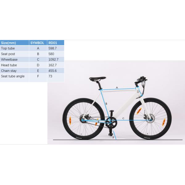 Standard Style Carbon Belt Drive EBike LCD Display Electric Bike with 9.6 AH Capacity