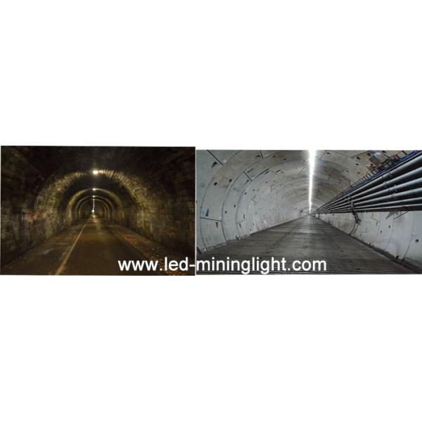 Explosion Proof 24 Volt LED Flexible Strip Lights 5m/ Roll Long Lifetime